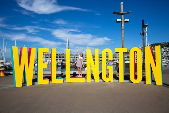 Wellington Laundry Service